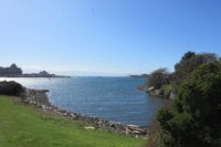 Victoria BC ocean in inner harbour on a sunny day