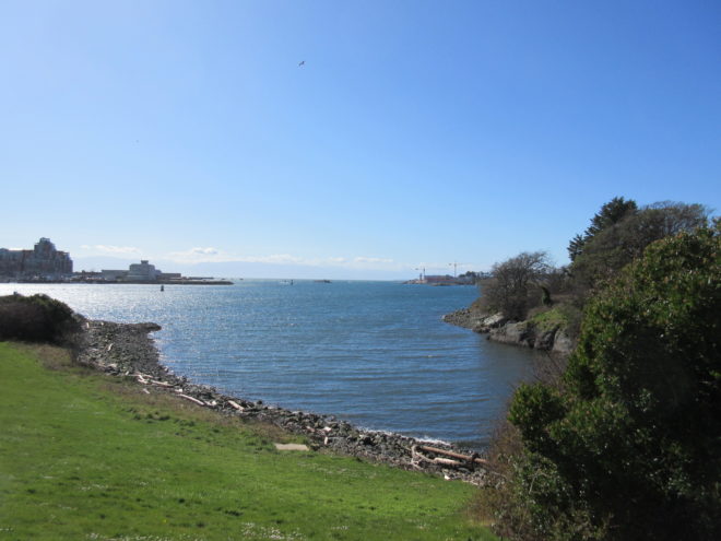 Victoria BC ocean in inner harbour on a sunny day