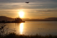 Plane landing over Tseycum (Pat Bay), copyright Bruce Norman Smith 2022.